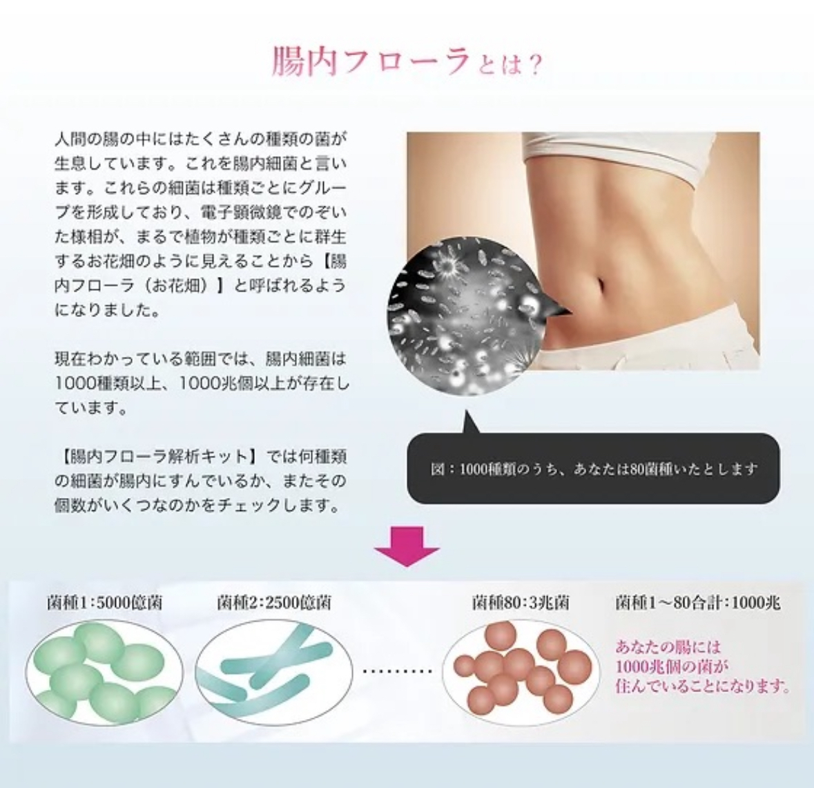 De腸内フローラ解析キット（腸内フローラ解析結果プランニング90